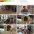 TV 동물농장.E1136.230903.1080p.H264-F1RST