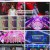 엠카운트다운.E813.230907.1080p.H264-F1RST