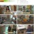 TV 동물농장.E1137.230910.1080p.H264-F1RST