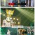 복면가왕.E420.230910.1080p.H264-F1RST