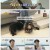 개는 훌륭하다.E190.230911.1080p.H264-F1RST