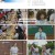 방과 후 코리아 수학여행 2.E06.230911.1080p.H264-F1RST