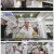 조선체육회.E07.230915.1080p.H264-F1RST