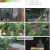 TV 동물농장.E1138.230917.1080p.H264-F1RST