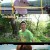 1박 2일 시즌4.E193.230917.720p-NEXT
