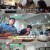 익스큐수미-일단 잡숴봐.E05.230921.720p-NEXT
