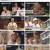 조선체육회.E08.230922.1080p.H264-F1RST