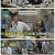 부름부름 대행사.첫 방송.E01.230923.1080p.H264-F1RST