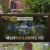 형따라 마야로 - 아홉 개의 열쇠.E09.230929.720p-NEXT
