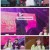더 시즌즈-악뮤의 오날오밤.E05.231006.1080p.H264-F1RST