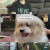 TV 동물농장.E1140.231008.720p-NEXT