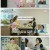 요즘 남자 라이프 - 신랑수업.E85.231011.1080p.H264-F1RST