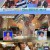 남의 나라 살아요 선 넘은 패밀리.E08.231117.720p-NEXT