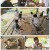 니돈내산 독박투어.E15.231118.1080p.H264-F1RST