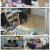 요즘 육아 금쪽같은 내 새끼.E179.2024-02-09.1080p.H264-F1RST