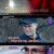 신비한TV 서프라이즈.E1102.240218.720p-NEXT