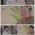 한 번쯤 이혼할 결심.E05.240218.1080p.H264-F1RST