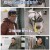 개는 훌륭하다.E210.2024-02-19.1080p.H264-F1RST