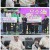 슈퍼맨이 돌아왔다.E515.240220.1080p.H264-F1RST