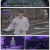 PD가 사라졌다!.E01.240227.1080p.H264-F1RST