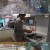 TV 동물농장.E1161.240303.720p-NEXT
