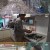 TV 동물농장.E1161.240303.1080p-NEXT