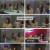 놀던언니 2.E01.240312.1080p.H264-F1RST