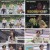다시 갈 지도.E100.240314.1080p.H264-F1RST
