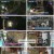 니돈내산 독박투어2.E11.240316.1080p.H264-F1RST