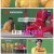 덩치 서바이벌-먹찌빠.E24.240321.1080p.H264-F1RST